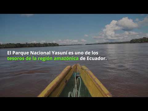 Parque Nacional Yasuní,
