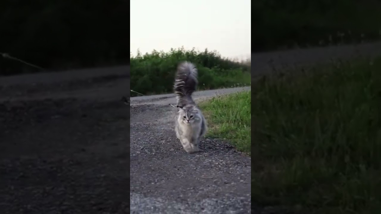 What was he looking for 👀