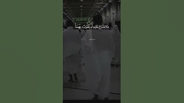 إِنَّ ٱلصَّفَا وَٱلْمَرْوَةَ مِن شَعَآئِرِ ٱللَّهِ ۖ )|| القارئ ماهر المعيقلي