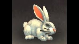 Kalimdor Safari World Safari | WoWWiki | Fandom