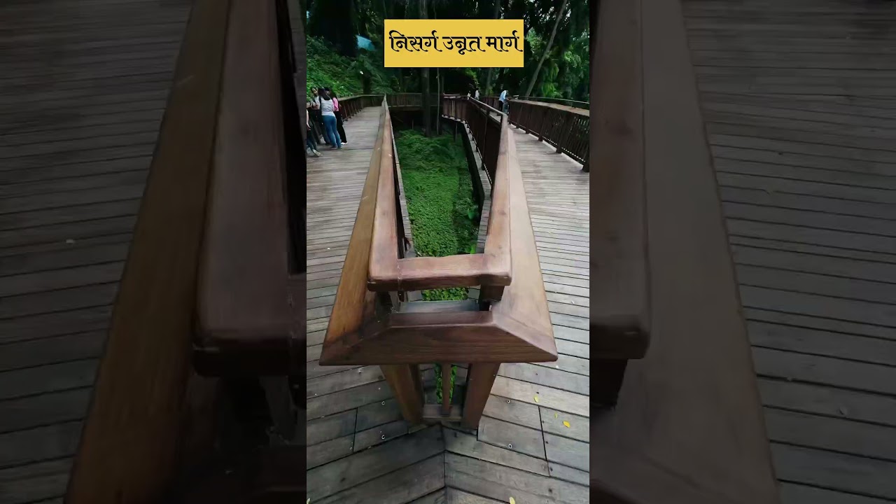 Malabar hill forest trail. 