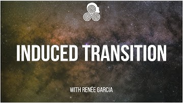 INDUCED TRANSITION Reality Transurfing Guiding Principals Concept & Technique Breakdown Vadim Zeland