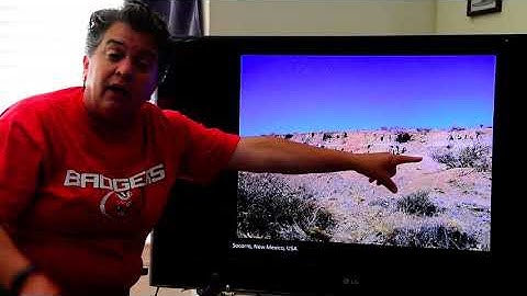 Historical Geology- Stratigraphy vol. 2