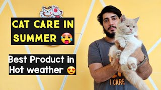 How to Keep Your Cat Cool in Summer | Cat Care in Hot Weather | Tips For Keeping Your Cat Cool