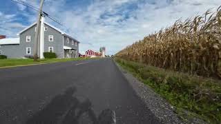 DJI 20251012124559 0202 D