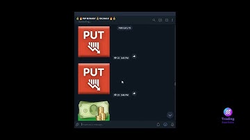 VIP SIGNALS MONTHLY REPORT FEB | JOIN VIP BINARY OPTIONS SIGNALS WITH 95% WINNING | QUOTEX #trading