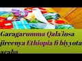 Garagarumma Qala Insa Jireenya Ethiopia Fi Biyyota Araba Garagarumma Qala Insa Jireenya Ethiopia Fi Biyyota Araba