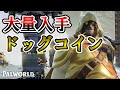 【エンドコンテンツ】ミミドッグは絶対に夜探せ‼️【パルワールド/palworld】