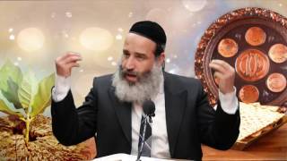 פסח: הזמן שלך להצליח - הרב יצחק פנגר HD