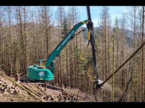🌲*CabView* Impex Königstiger T25 • HarvesterAction • 15 Meter Kran • Steilhang • Tiger in wood🌲