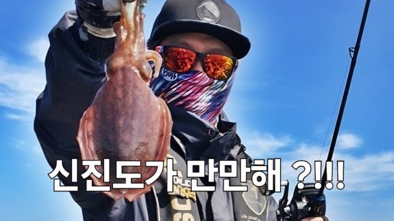 본격 신진도권 갑오징어 시즌 시작!!!