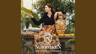 Solei - Comsi Comsare