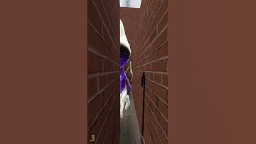 Smurf cat chase me ¡¡¡  Nextbot (gmod)