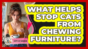 What Helps Stop Cats From Chewing Furniture?