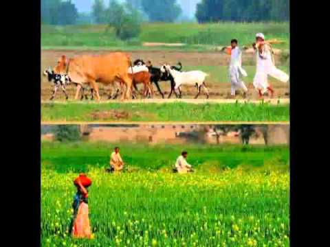 PATAN TE BERI BEST SARAIKI SONG UPLOAD BY SYED SHAN 03023435420 MUZAFFARGARH