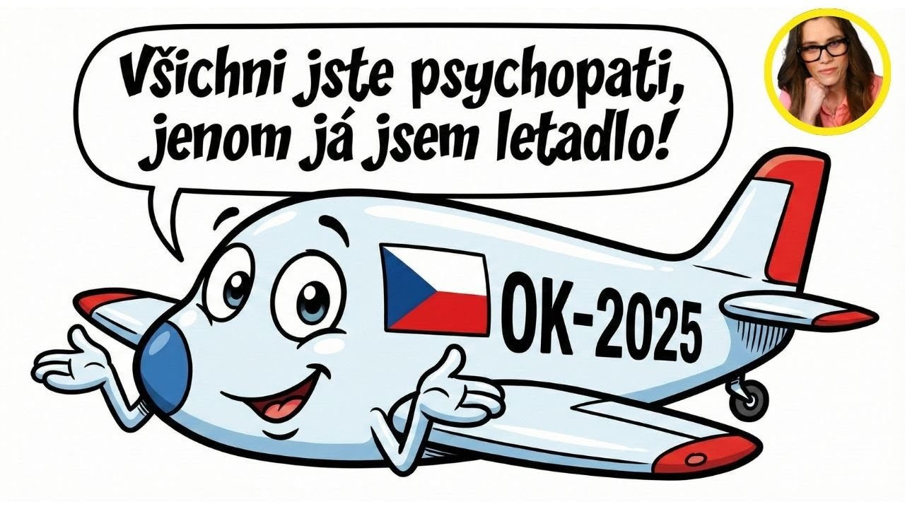 Letadlo padá: Schillerová mluví o Ponziho schématu. Kdo ale dostal letadlo do vzduchu?