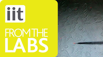 Robotics - Complete Microinjection System