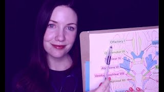 [ASMR] Cranial Nerve Examination - Medical Roleplay