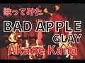 【女性が歌う】GLAY / BAD APPLE covered by 赤音 叶