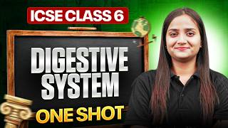Digestive System | Biology | One Shot Revision | ICSE Class 6th | Exam Preparation