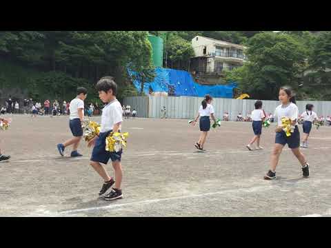 21.05.29⭐︎第一小運動会：なつダンス2