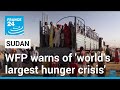 Sudan soon to be &#39;world&#39;s largest hunger crisis&#39;, as UN considers ceasefire draft • FRANCE 24