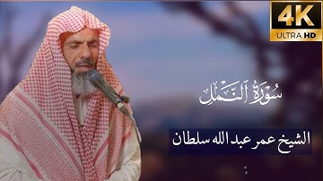عندما يبدع الشيخ عمر عبدالله سلطان  تلاوة من سورة النمل كاملة
