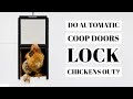 AUTOMATIC COOP DOORS | Will Auto Chicken Door Lock Chickens Out? | Easy Hen Coop Design Upgrade