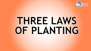 2023-04-28 Three Laws of Planting - Ed Lapiz