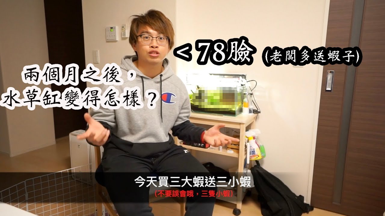 加入co2有什麼變化 我的魚缸終於有點樣子了 Youtube 加入co2有什麼變化 我的魚缸終於有點樣子了 Youtube