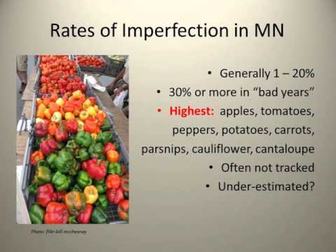Video: Naturally Imperfect Produce - Lær om The Ugly Produce-bevægelsen