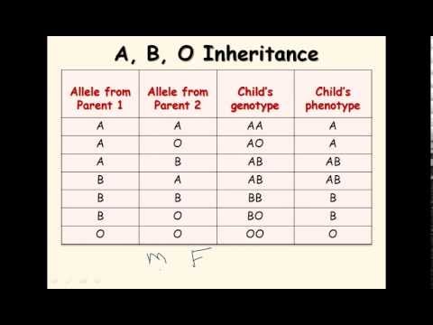 11 Ab Blood Type Genetics Youtube