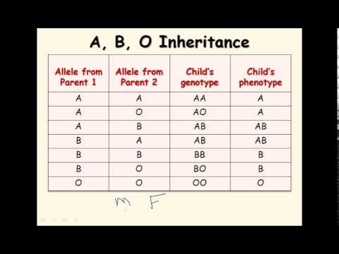 Blood Type Heredity Chart