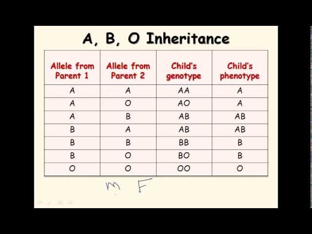 11 Ab Blood Type Genetics Youtube