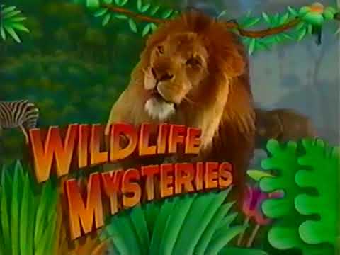 Cover Wildlife Mysteries - "Spiders: Come Into My Parlour" (VHS, A&E)