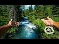 Fly Fishing a SMALL Alaskan Creek!!!