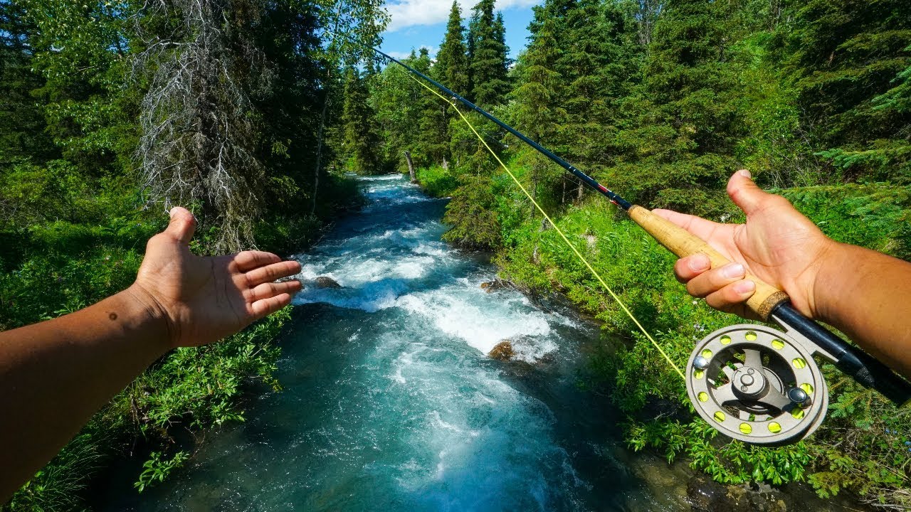 Fly Fishing a SMALL Alaskan Creek!!! 