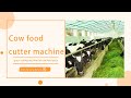 Cow Food Cutter Machine Grass Cutting Machine For Cow Feed Price Cow Food Cutter Machine Grass Cutting Machine For Cow Feed Price