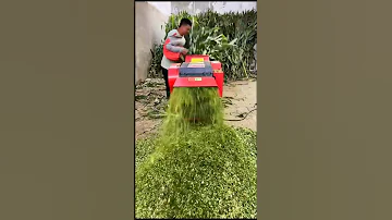 Cow Food Cutter Machine Grass Cutting Machine For Cow Feed Price 