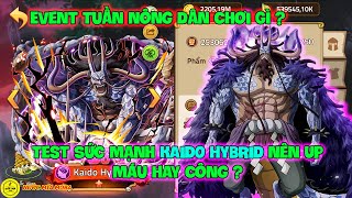 Huyền Thoại Hải Tặc - Test Sức Mạnh KAIDO HYBRID Nên Up Máu Hay Công ? Event Tuần Nông Dân Chơi Gì ?