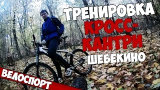 Тренировка по ВЕЛОСПОРТУ (кросс-кантри Шебекино)
