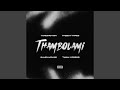 Thambolami (Saudavelgio & TheboyTapes Remix)