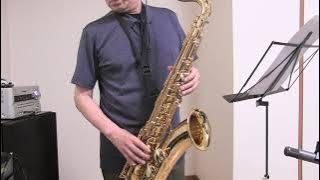 おゆき（内藤國雄）テナーサックスで吹いてみた20230602
