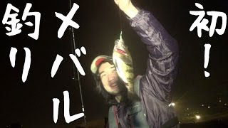 【シバターの釣り】船で夜釣り！横浜湾でスズキ・メバルと初遭遇！