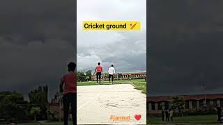 cricket  lover's. || #shorts  #viral #youtubeshorts