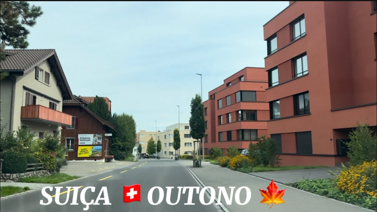 Um Passeio agradável // Vista para as montanhas 