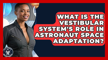 What Is The Vestibular System