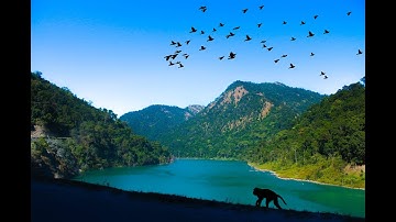 Photoshop Tutorial | How to add fake birds to your photos in just 2 mins| Part 1