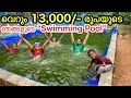 Part- 3 💥ചിലവ് കുറഞ്ഞ ഞങ്ങളുടെ നീന്തൽ കുളം | DIY natural pond making in Malayalam