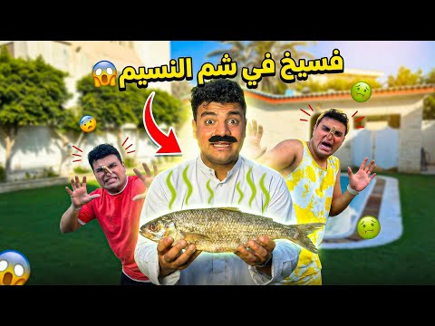 لما ابوك يجيبلكم فسيخ في شم النسيم سيف عماد
